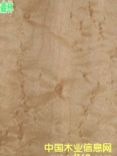 ��ľȸ��ľƤ