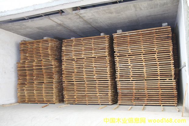 ��̴����֦ľ�ĺ�ɿ���