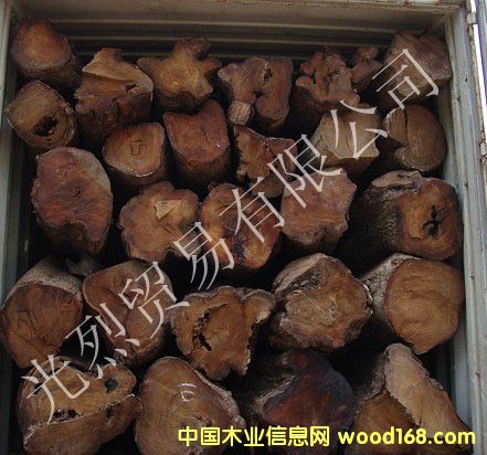 10�·݁�����ԭľ��Ԕ��(x��)��B