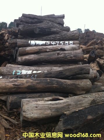 ��(y��u)�|(zh��)�tľԭľ����С�~�t̴��Ԕ��(x��)��B