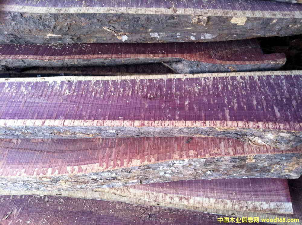 ������֦��Ԕ��(x��)��B