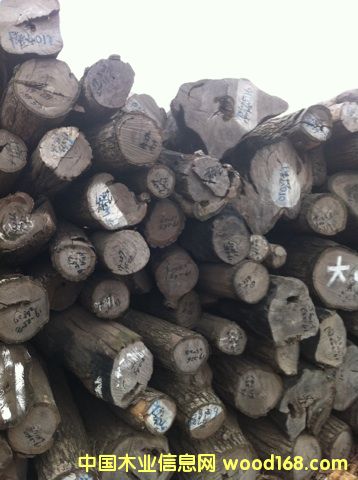 ��(y��u)�|(zh��)�tľԭľ����С�~�t̴��Ԕ��(x��)��B