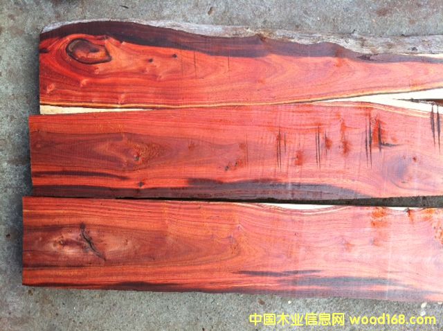 ������֦