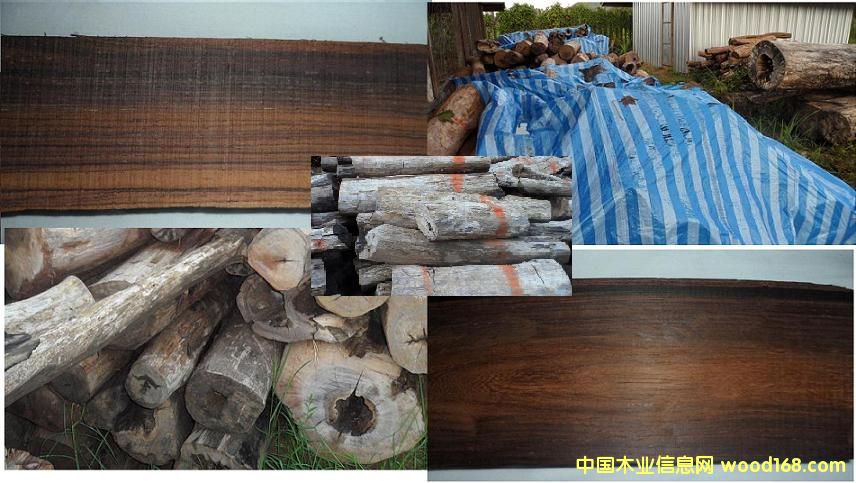 ����(y��ng)- �ϓ���̴ԭľ��Ԕ����B