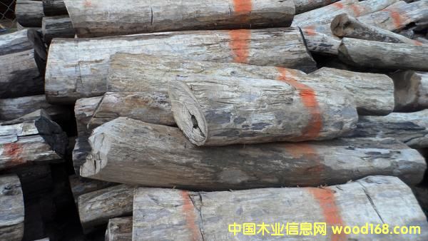 ����(y��ng)- �ϓ���̴ԭľ��Ԕ����B