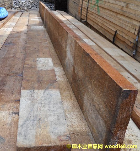 [��] ���l(f��)���~�ɷ�ľҎ(gu��)����������ľ