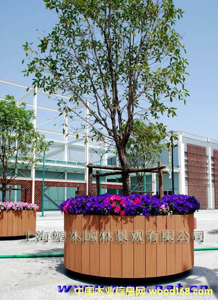 2010�Ϻ�������ľ�Ƅӻ����Ԕ��(x��)��B