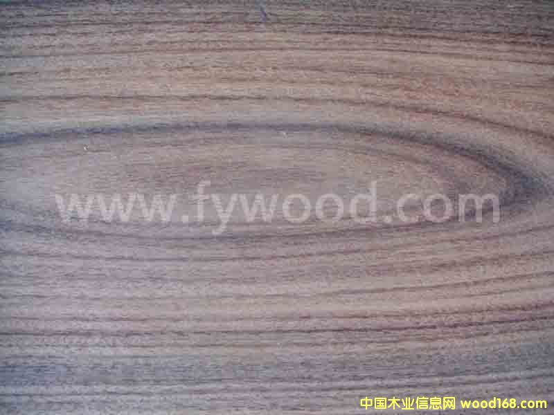 ��֦��Ԕ��(x��)��B