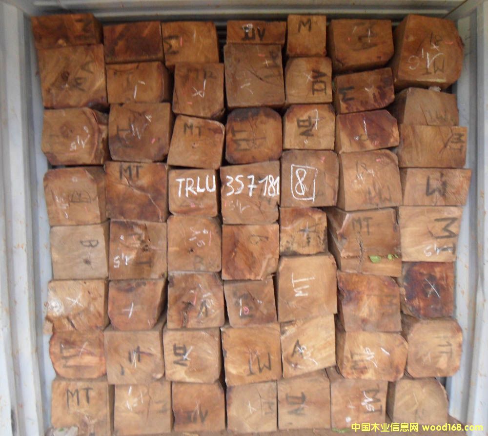 �����S���棨�����̴����Ԕ��(x��)��B