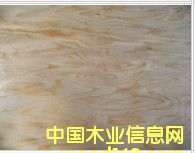 ��Ƥ���a(ch��n)��Ԕ����B