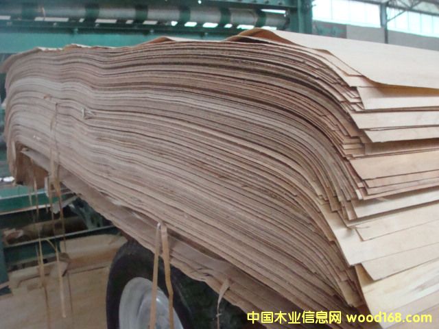 ��ľ����Ƥ��Ԕ����B