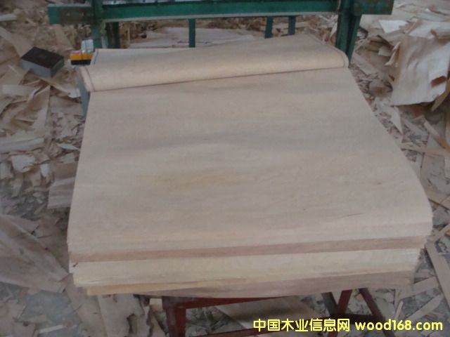 ��ľ����Ƥ��Ԕ����B