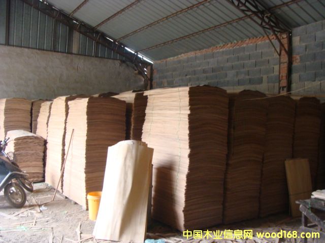 ��ľ�A��Ƥ��Ԕ����B