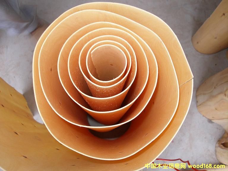 ��ľ�ΰ��Ԕ��(x��)��B