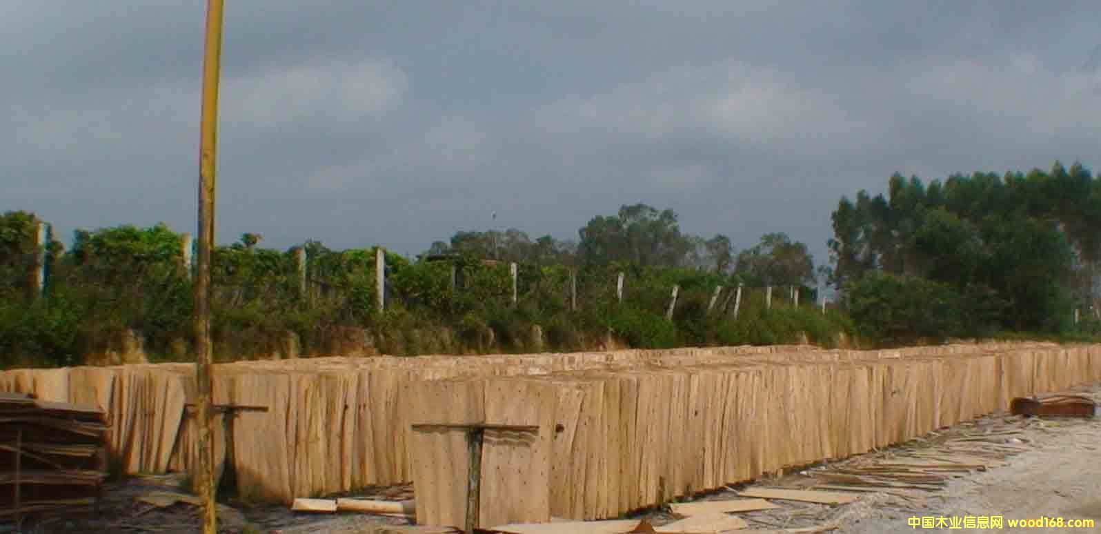 ��ľ�ΰ��Ԕ��(x��)��B