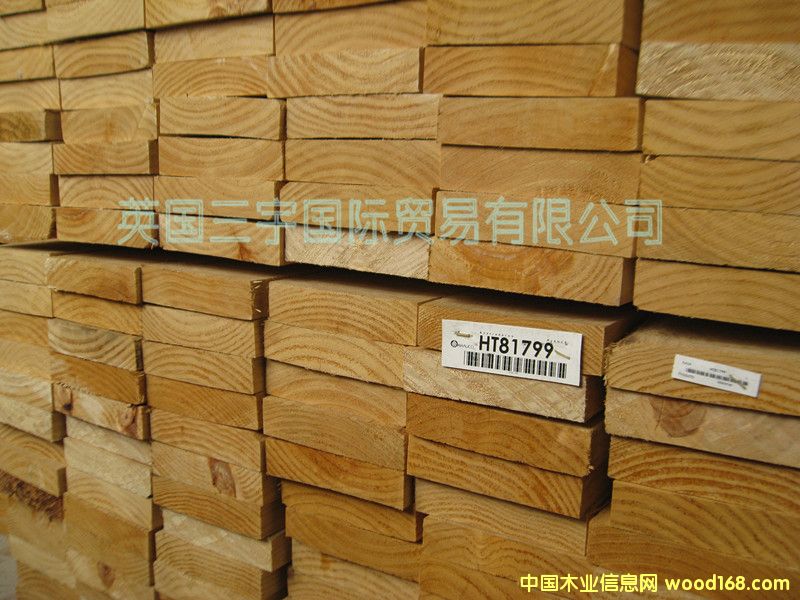 ����ݗ����