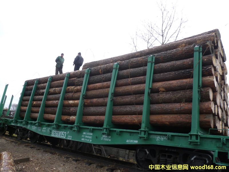 ����ԭľ��Ԕ��(x��)��B