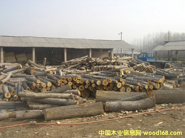 ��ľ��Ƥ��Ԕ��(x��)��B