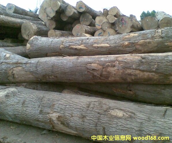 �W�ް�Ϟ?z��i)�ԭ�? title=