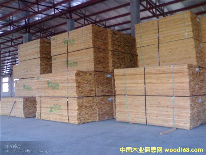 �����Ԕ����B