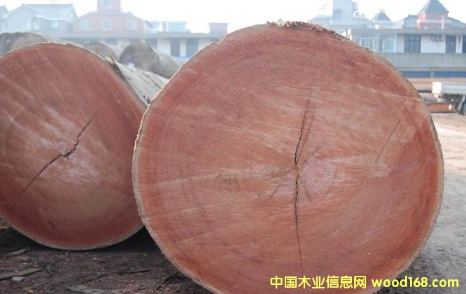 �����Ԕ��(x��)��B