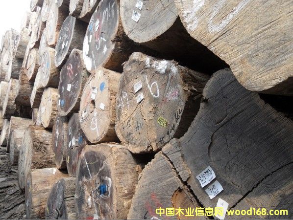 �T���Ԕ��(x��)��B