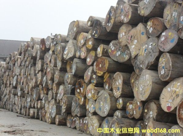 �����Ԕ��(x��)��B