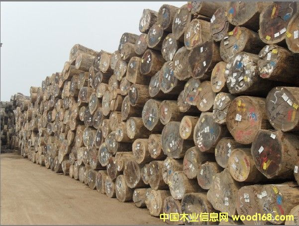 ����(y��ng) �R�������T�񣨿���˹��ԭľ��Ԕ��(x��)��B