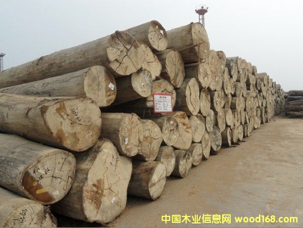 �t����ԭľ��Ԕ��(x��)��B