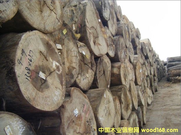 �t�����Ԕ��(x��)��B