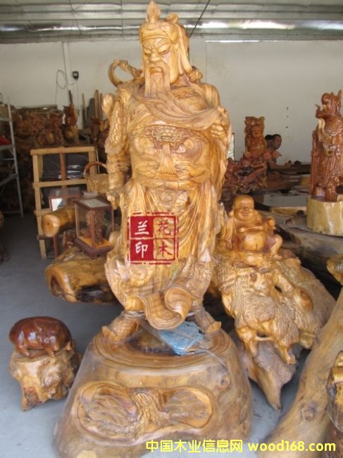 ��������ľ��Ԕ��(x��)��B