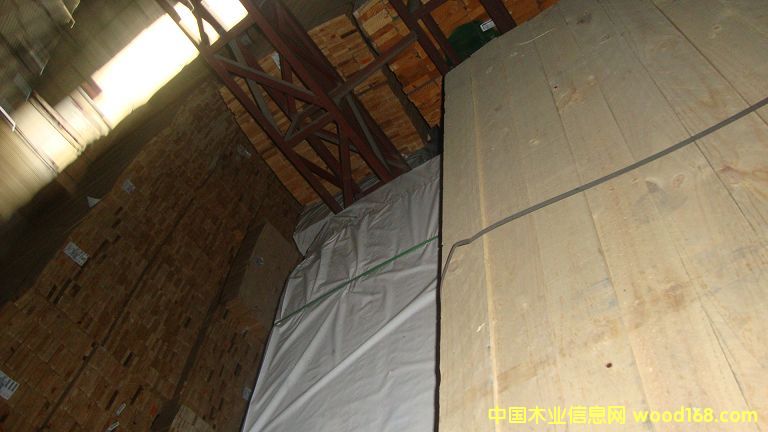 �M��ݗ���� ���1.9cmë�� 