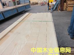 �M(j��n)��ݗ���� ���2.2cm�o��(ji��)ë�� ��Ԕ��(x��)��B