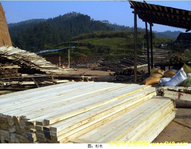 ���l(f��)�������l����ľ����Ԕ��(x��)��B