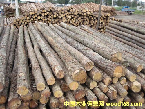 ɼľ��Ԕ����B