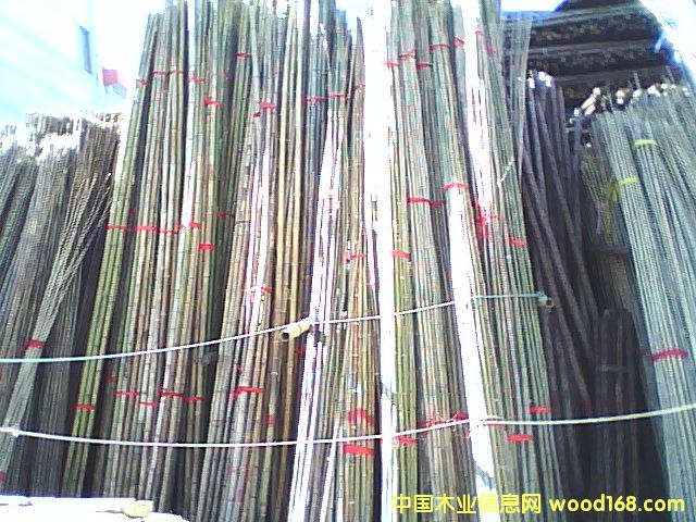 竹竿的詳細(xì)介紹