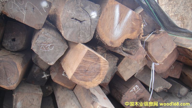 ���޻�֦��Ԕ����B