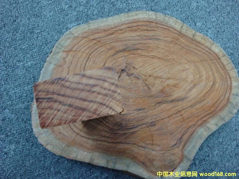 �R���װ�ĵ�Ԕ��(x��)��B