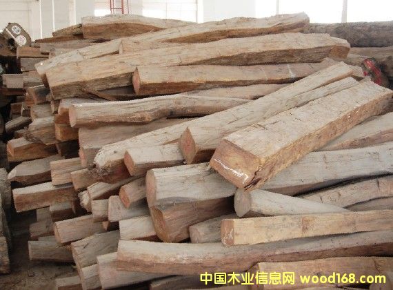 ������֦