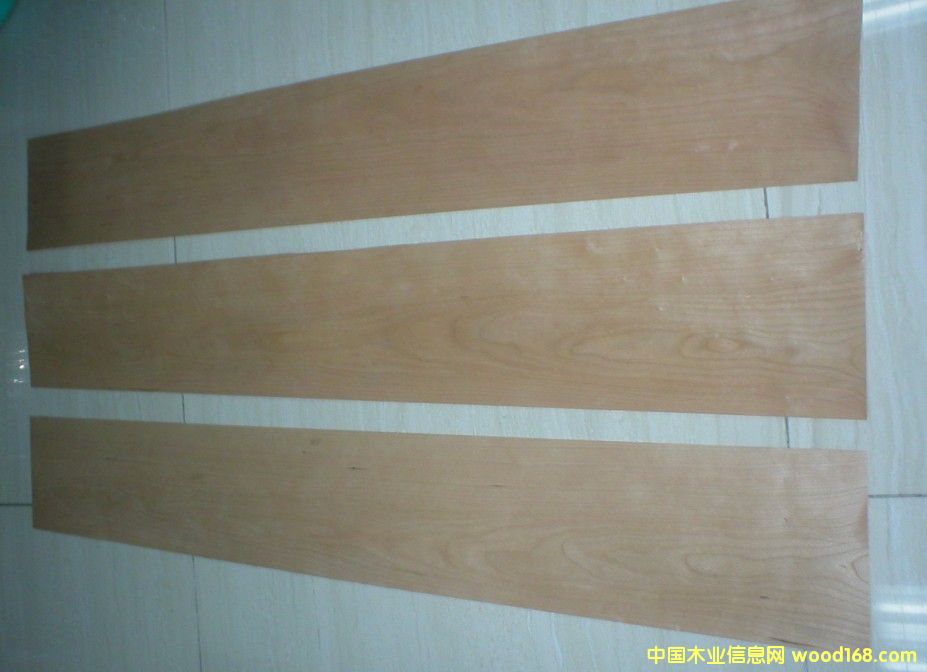 ����ɽ�y��Ԕ����B