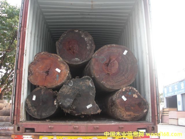 瓦泰豆的詳細(xì)介紹