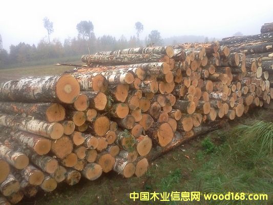 �������ľԭľ��Ԕ����B