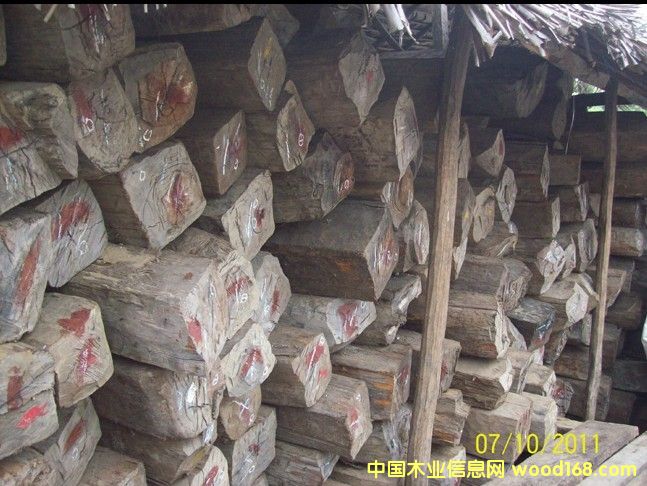 �R�_(d��)��˹���S̴������ɣ��������֦ ��Ԕ��(x��)��B