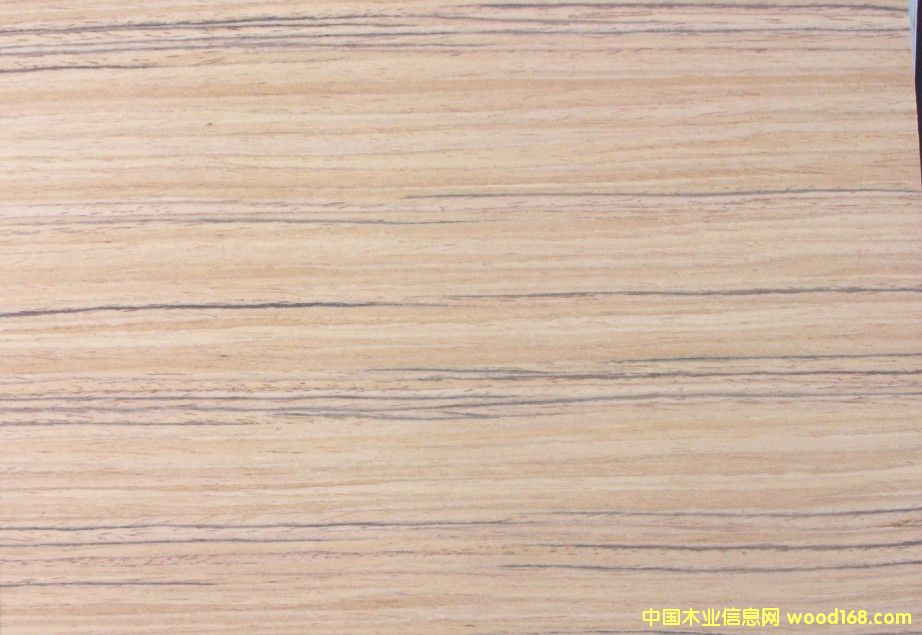 ��ľ����