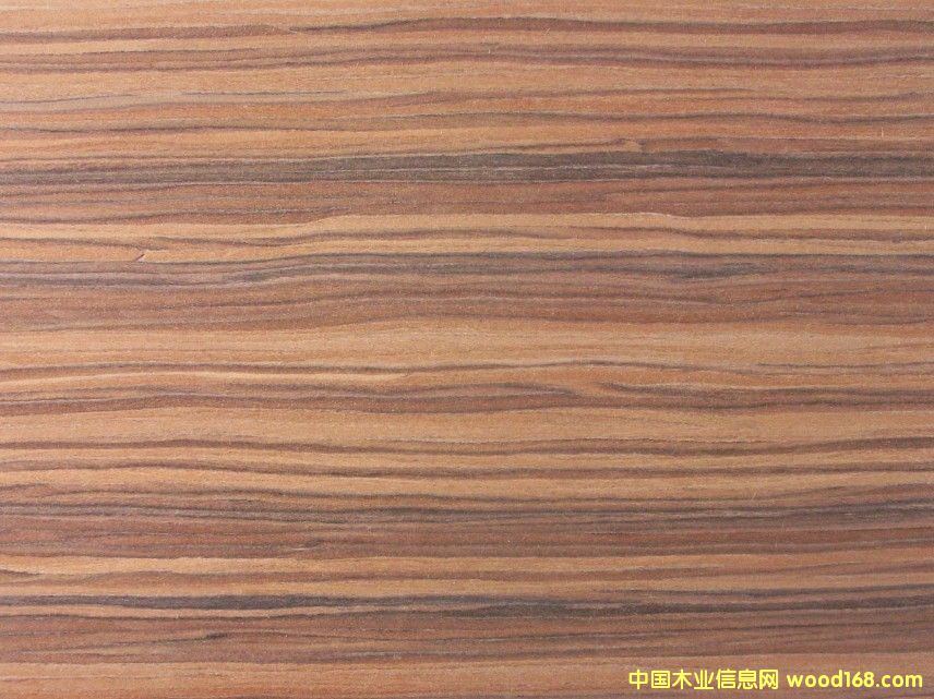 ������֦ľ����