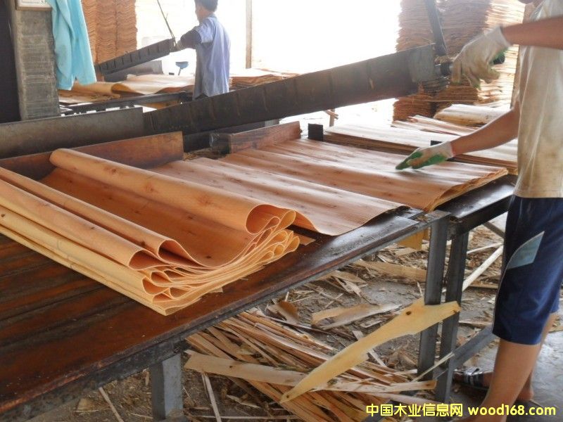 ��ľ�ΰ����a