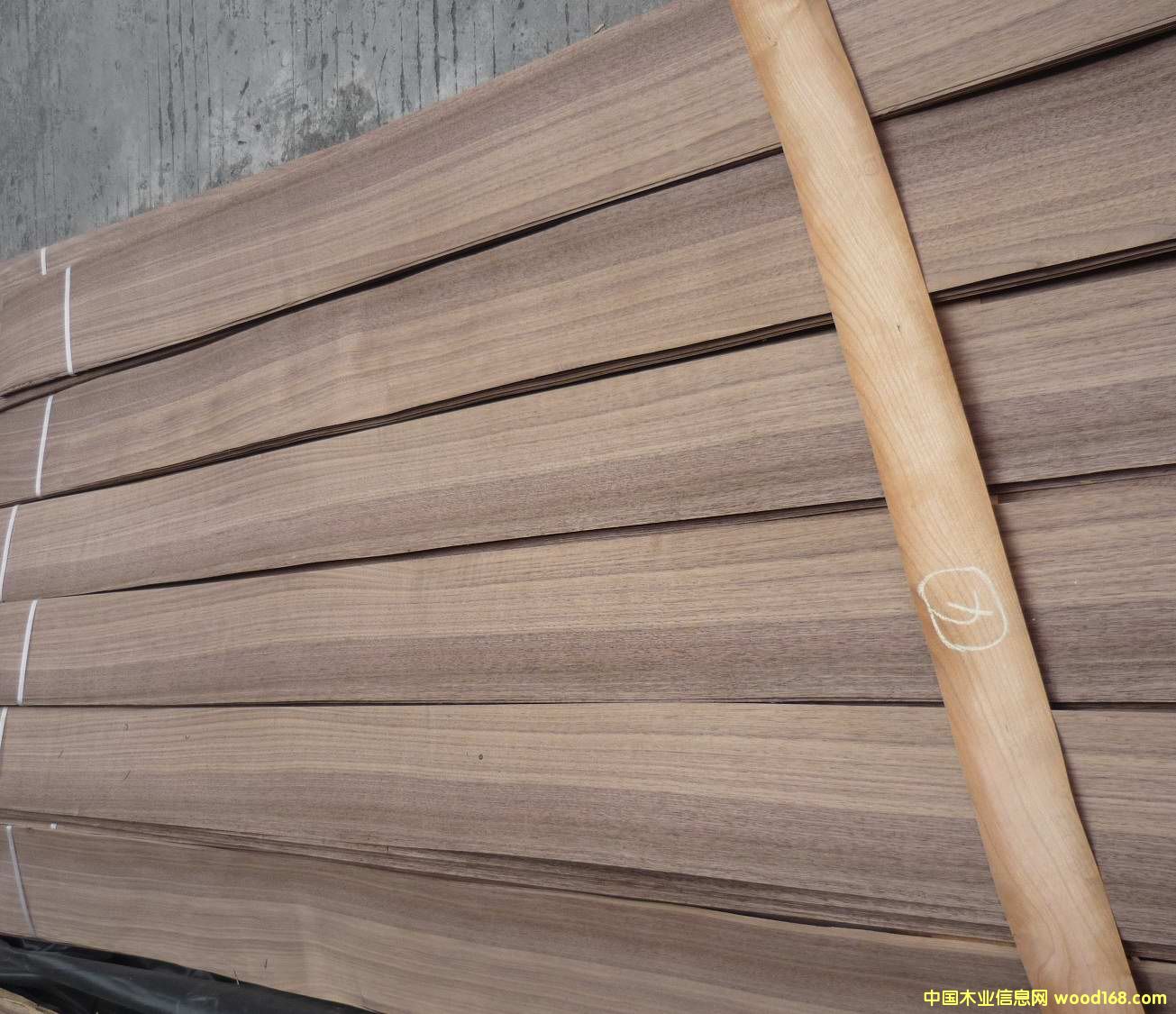 0.5�ں���ֱ�y