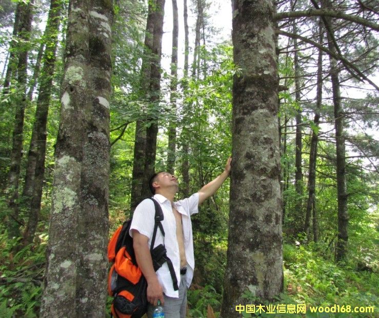 �Ĵ�ʡ�VԪ���ɘ���ˮ����11000�������D(zhu��n)׌��Ԕ��(x��)��B