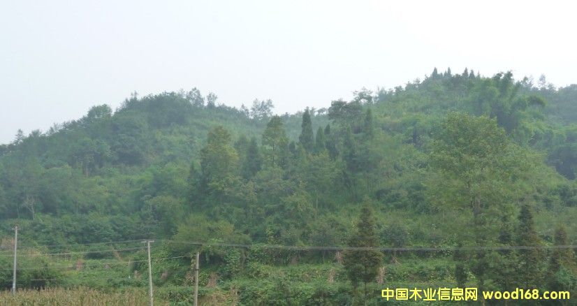 �Ĵ�ʡ�ɶ���߅3000�஀�ò��ֵ��D(zhu��n)׌��Ԕ��(x��)��B