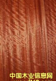 ������֬�Kľ��Ԕ��(x��)��B